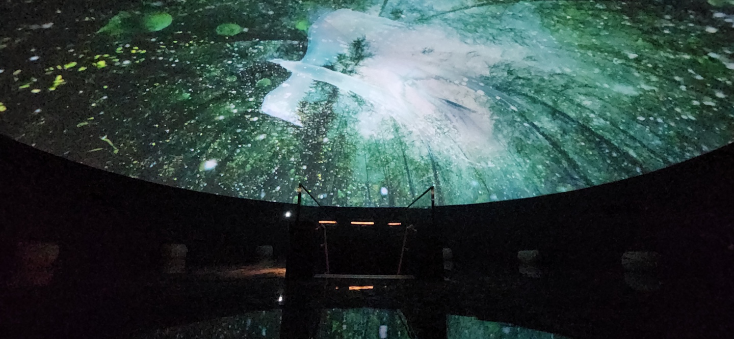 [????] ??? ???? ??? ? ??? ?????.jpg