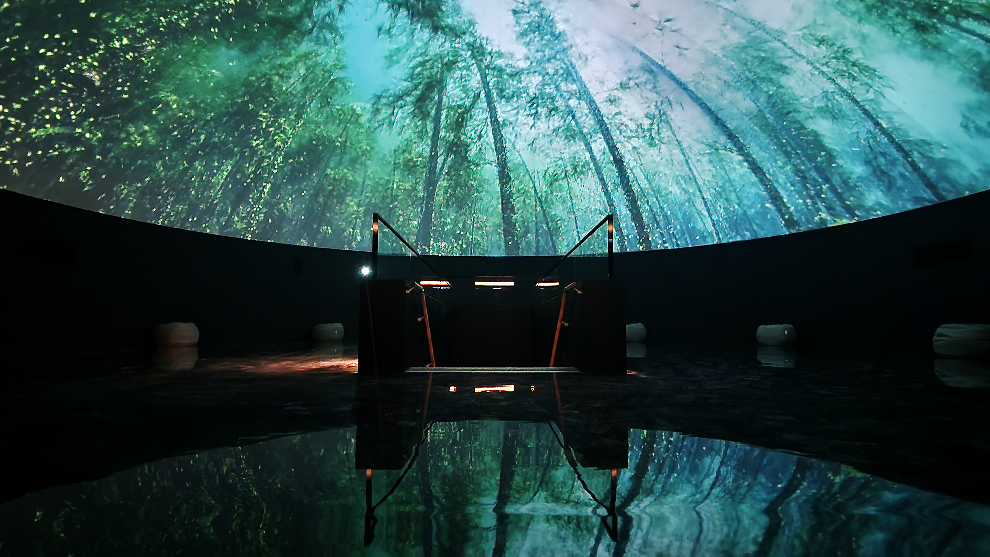 250311_???? ????.jpg